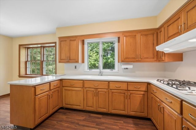 1 Ellyn Ct, Morris Twp., NJ 07960