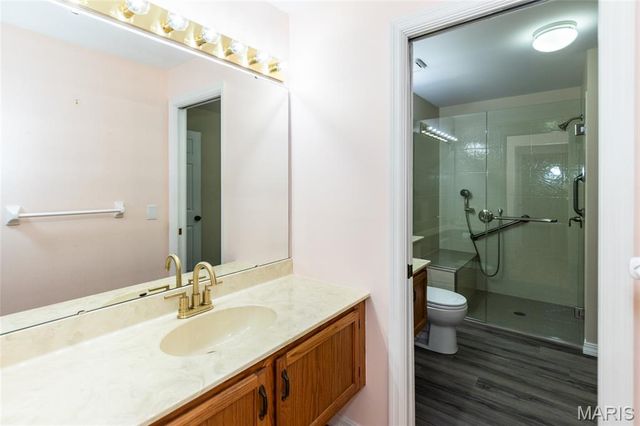 39 Ridgeview Circle Court, Ballwin, MO 63021