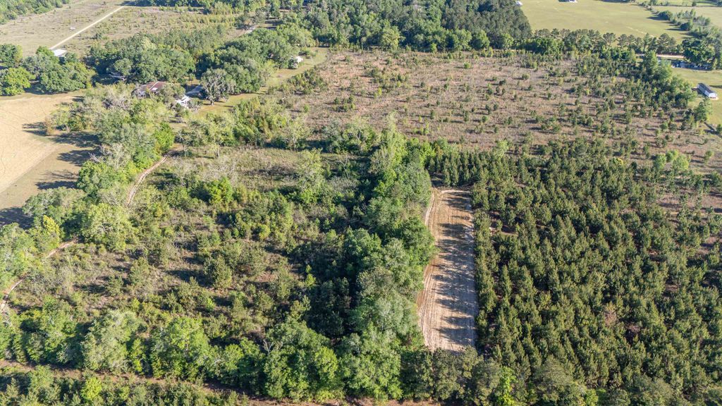 Image 36 of property listing at 49 WILL WHITE Road, Quincy, FL 32351