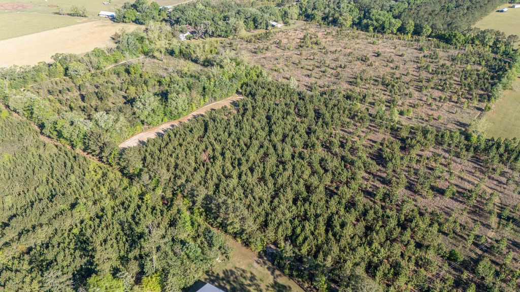 Image 37 of property listing at 49 WILL WHITE Road, Quincy, FL 32351