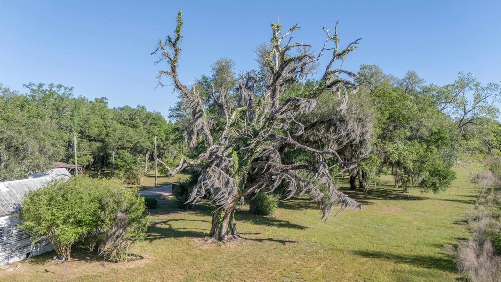 Image 43 of property listing at 49 WILL WHITE Road, Quincy, FL 32351