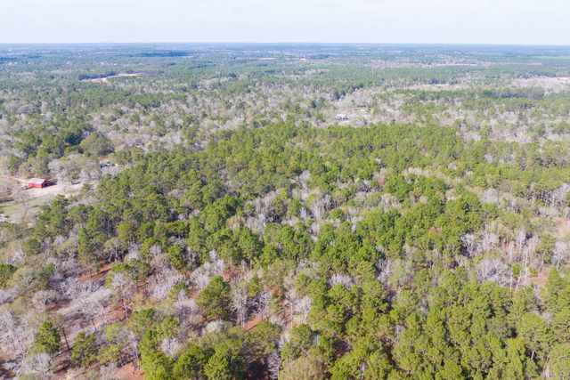 6698 Pine Shadows Road, Cleveland, TX 77328
