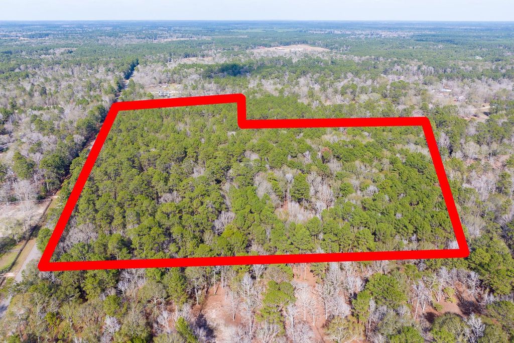 6698 Pine Shadows Road, Cleveland, TX 77328