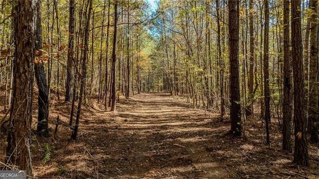 0 Jones Ferry Road 3, Chattahoochee Hills, GA 30268