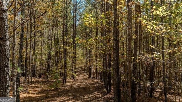 0 Jones Ferry Road 3, Chattahoochee Hills, GA 30268