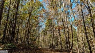 0 Jones Ferry Road 3, Chattahoochee Hills, GA 30268