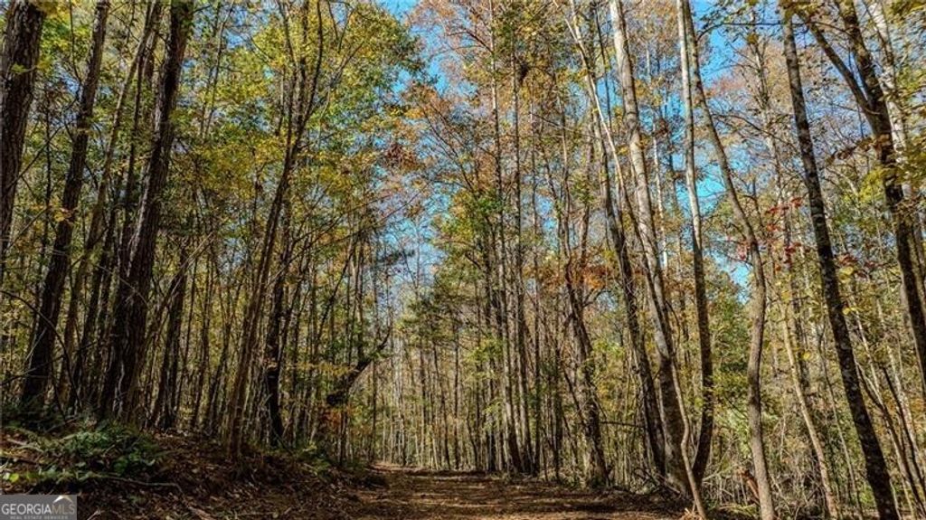 0 Jones Ferry Road 3, Chattahoochee Hills, GA 30268