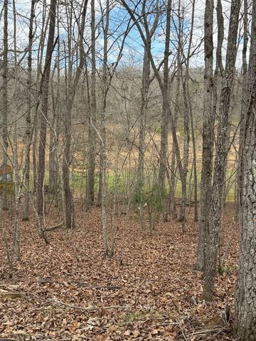 2-5 Country Lane, Murphy, NC 28906