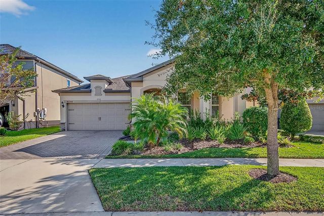 18744 BIRCHWOOD GROVES DRIVE, Lutz, FL 33558