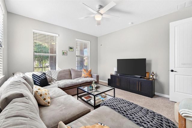 18744 BIRCHWOOD GROVES DRIVE, Lutz, FL 33558