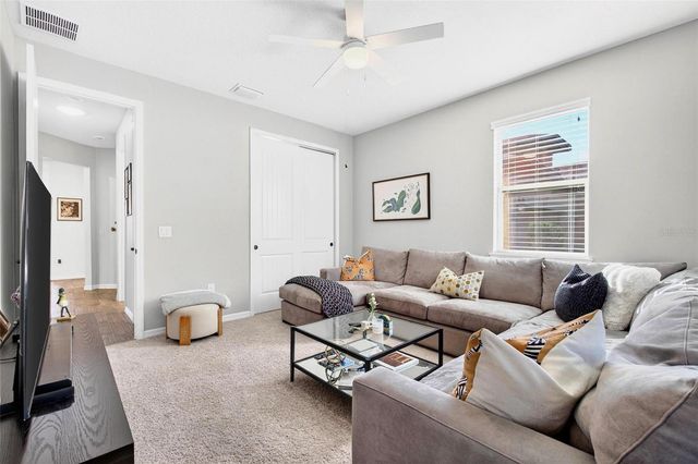 18744 BIRCHWOOD GROVES DRIVE, Lutz, FL 33558