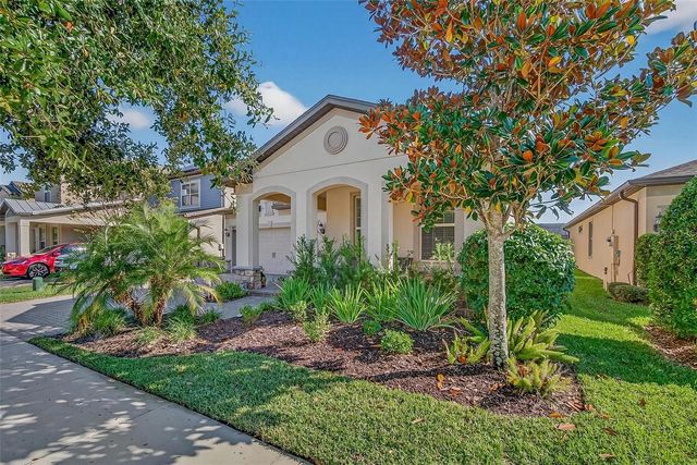 18744 BIRCHWOOD GROVES DRIVE, Lutz, FL 33558