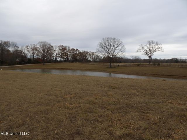 115 Valentine Road, Holly Springs, MS 38635