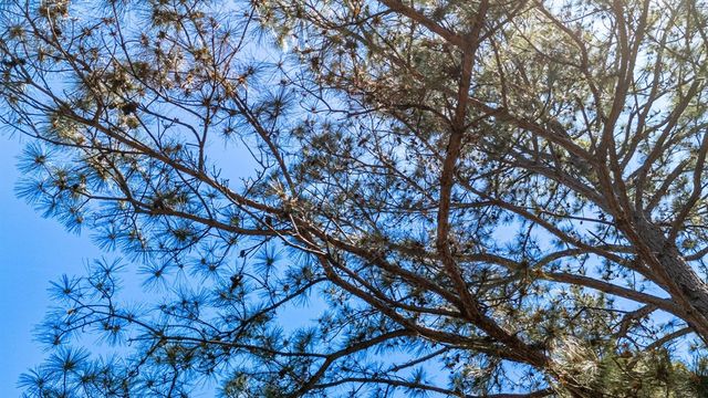 229 Esquire Estates Road, Mabank, TX 75156