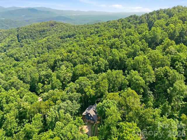 291 Merrills Chase Road, Asheville, NC 28803