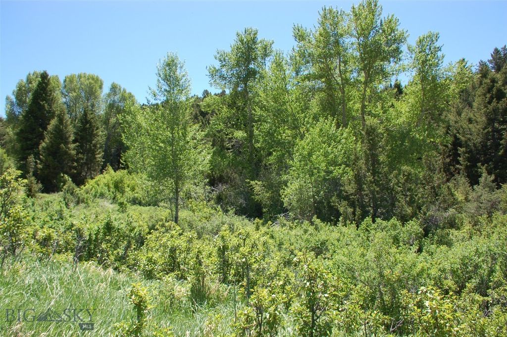 Block 261 Virginia City Original Townsite, Virginia City, MT 59755 photo 6