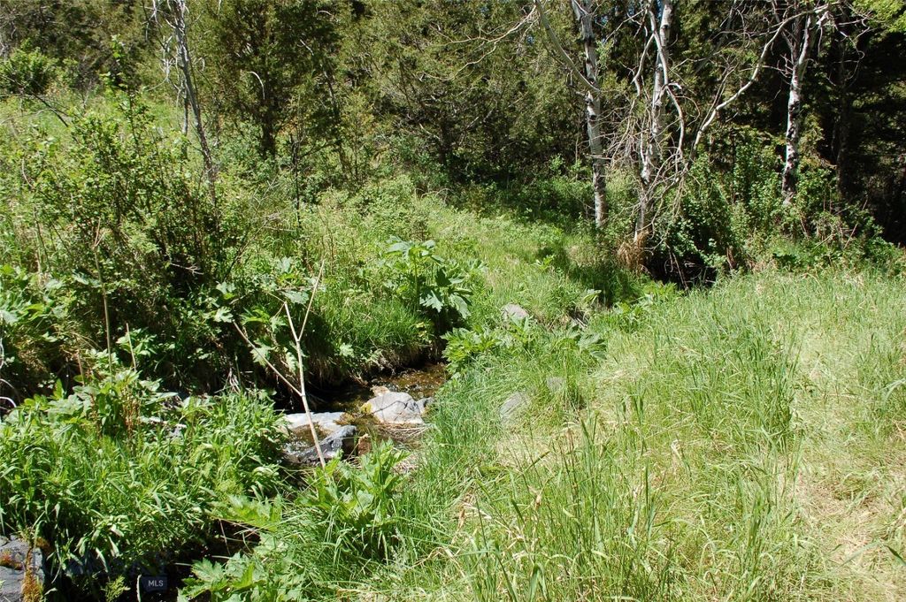 Block 261 Virginia City Original Townsite, Virginia City, MT 59755 photo 7