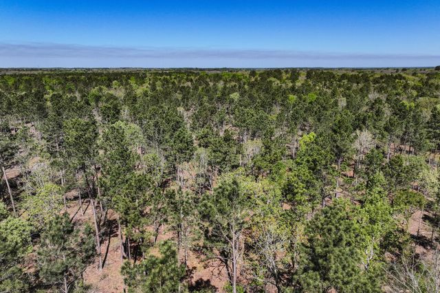 139.82 Acres State Highway 21 E, Crockett, TX 75835