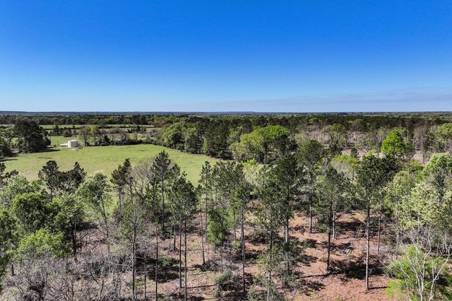 139.82 Acres State Highway 21 E, Crockett, TX 75835