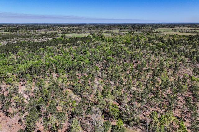 139.82 Acres State Highway 21 E, Crockett, TX 75835