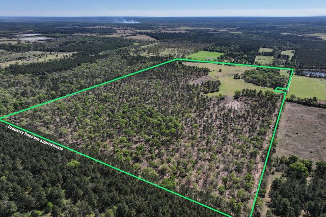 139.82 Acres State Highway 21 E, Crockett, TX 75835