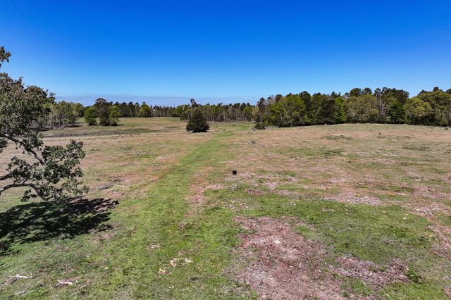 139.82 Acres State Highway 21 E, Crockett, TX 75835