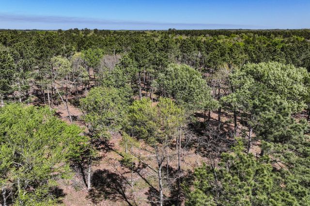 139.82 Acres State Highway 21 E, Crockett, TX 75835