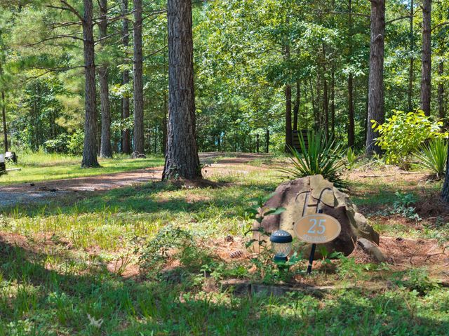 25 Sedge Way, Lumberton, MS 39455