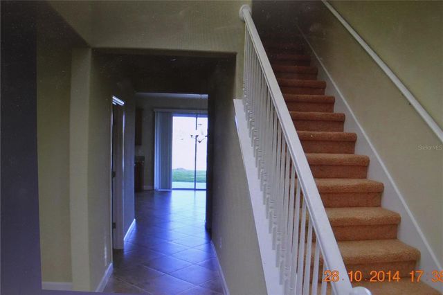 19347 PADDOCK VIEW DRIVE, Tampa, FL 33647