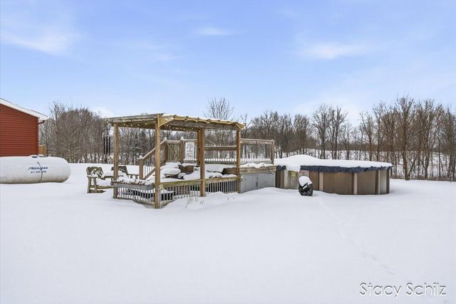 10195 Cox Road, Assyria Twp, MI 49021