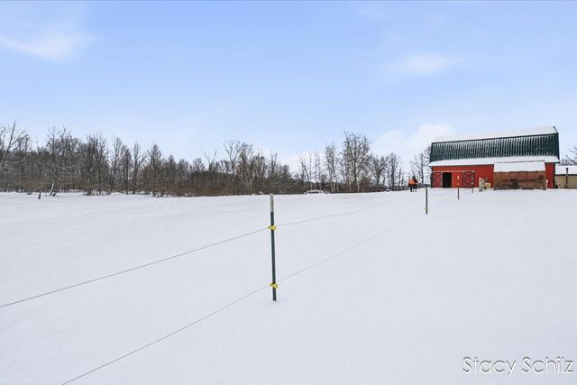 10195 Cox Road, Assyria Twp, MI 49021