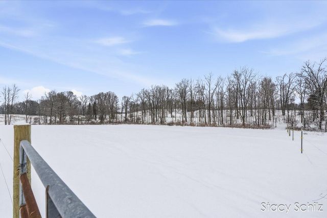 10195 Cox Road, Assyria Twp, MI 49021