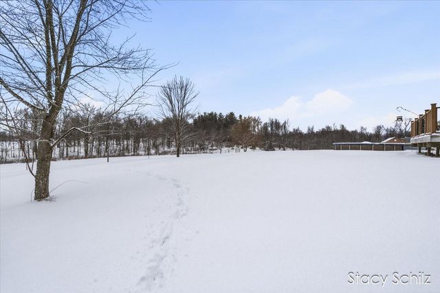 10195 Cox Road, Assyria Twp, MI 49021