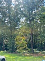 6215 MOUNTAIN RIDGE ROAD, Trussville, AL 35173