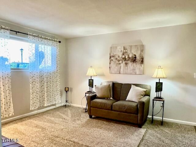 1225 Carriage Circle 101, Bristol, VA 24201