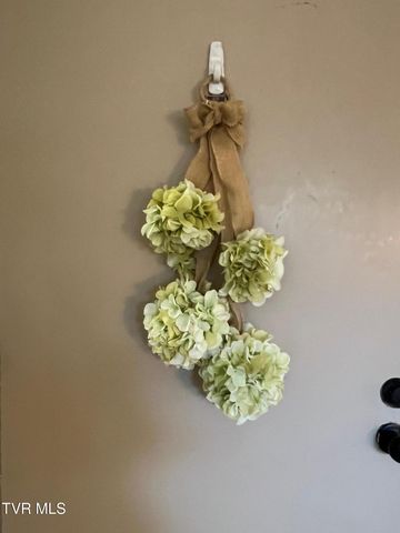 1225 Carriage Circle 101, Bristol, VA 24201