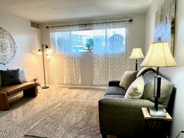 1225 Carriage Circle 101, Bristol, VA 24201