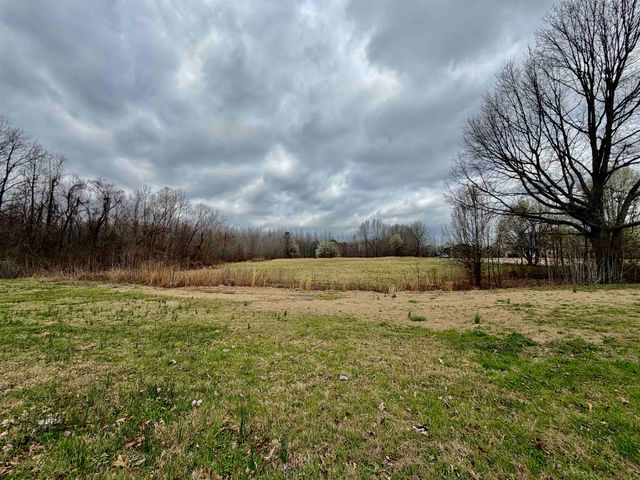 9870 MOOSE RD, Millington, TN 38053