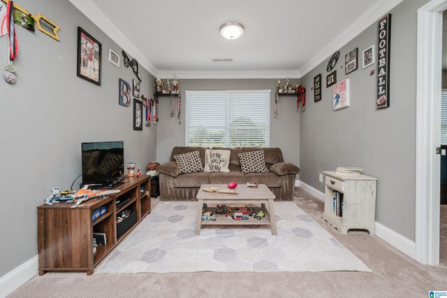 205 HOWARD HILL DRIVE, Wilsonville, AL 35186
