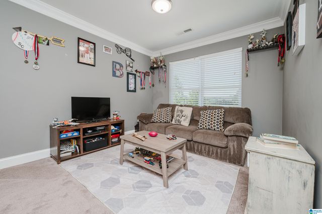 205 HOWARD HILL DRIVE, Wilsonville, AL 35186