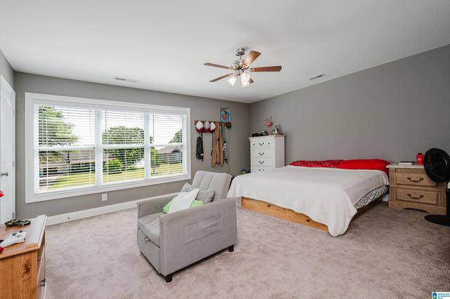 205 HOWARD HILL DRIVE, Wilsonville, AL 35186