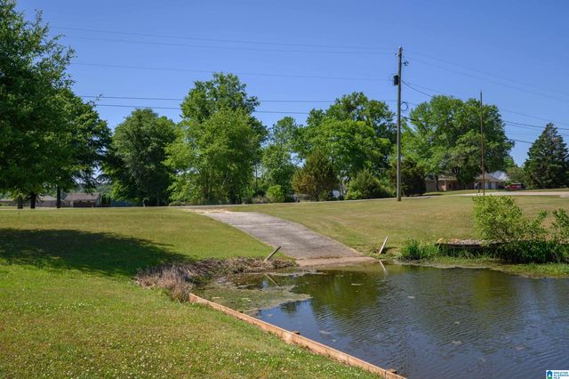 205 HOWARD HILL DRIVE, Wilsonville, AL 35186