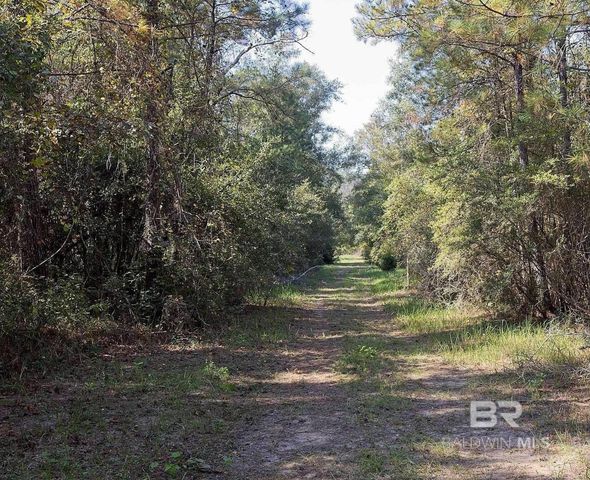 0 Nolte Creek Drive, Foley, AL 35635