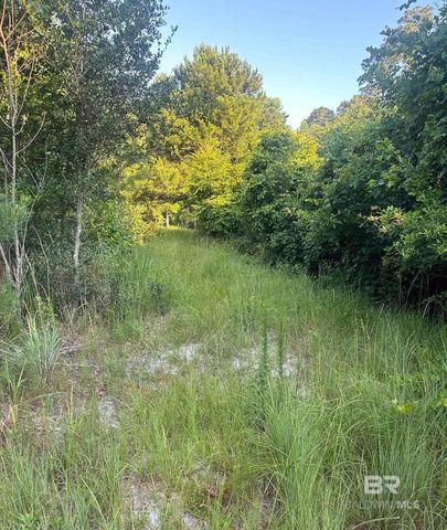 0 Nolte Creek Drive, Foley, AL 35635