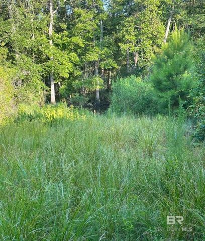 0 Nolte Creek Drive, Foley, AL 35635