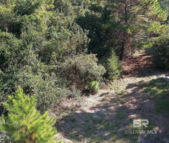 0 Nolte Creek Drive, Foley, AL 35635