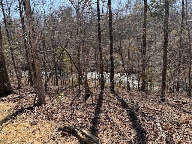 226 Lee Road 2037, Salem, AL 36874