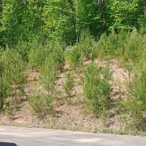7391 Boardtown, Ellijay, GA 30540