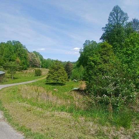 7391 Boardtown, Ellijay, GA 30540