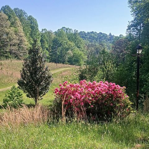 7391 Boardtown, Ellijay, GA 30540